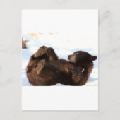 Guten Tag!! Postkarte (Vorderseite)