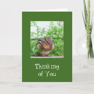 Guten Tag Wildtiere Karte