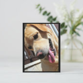 Guten Witz, Mann! Postkarte (Stehend Vorderseite)