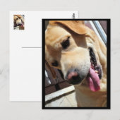 Guten Witz, Mann! Postkarte (Vorne/Hinten)