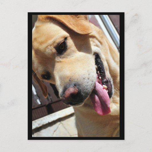 Guten Witz, Mann! Postkarte (Vorderseite)