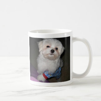 Gutenmorgen-Sonnenschein-maltesische Tasse