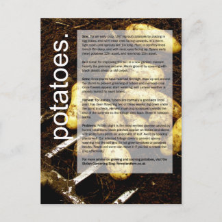 Guter Anbauführer: Kartoffeln und Karotten Postkarte