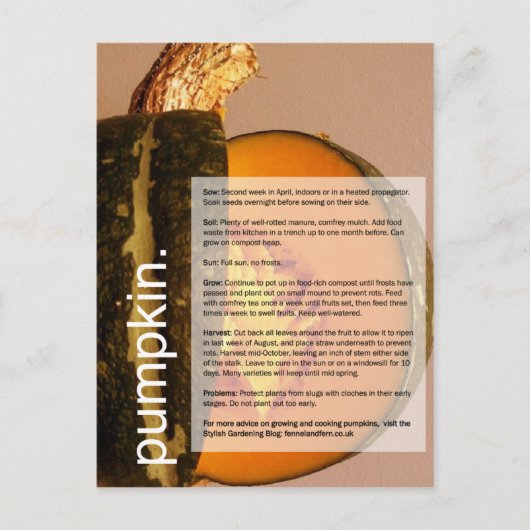 Guter Anbauführer: Pumpkin & Chard Postkarte (Vorderseite)