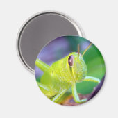 Guter Gräshopper-Magnet Magnet (Vorderseite/Rückseite)