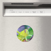 Guter Gräshopper-Magnet Magnet (In Situ (Geschirrspüler))