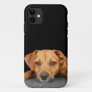 Guter Hund Case-Mate iPhone Hülle