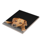 Guter Hund Fliese (Seite)