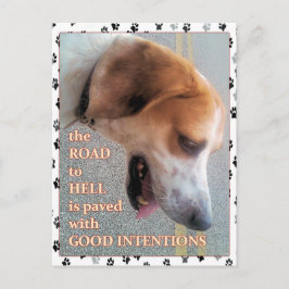 Guter Hund Postkarte