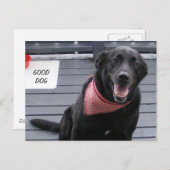 GUTER HUND POSTKARTE (Vorne/Hinten)