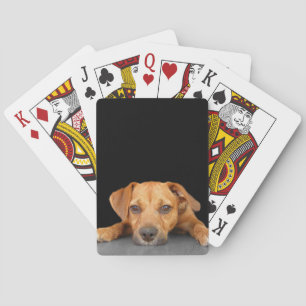 Guter Hund Spielkarten