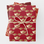 Gutes Glück 2023 Chinesisches Neujahr Red Gold Geschenkpapier Set (Beispiel)