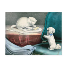 Gutes kleines Fido und freche Kittie, 1893