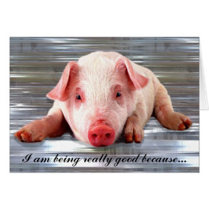 Gutes Schwein kundengerecht