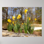 Gutscheine auf Ostern Poster (Vorne)