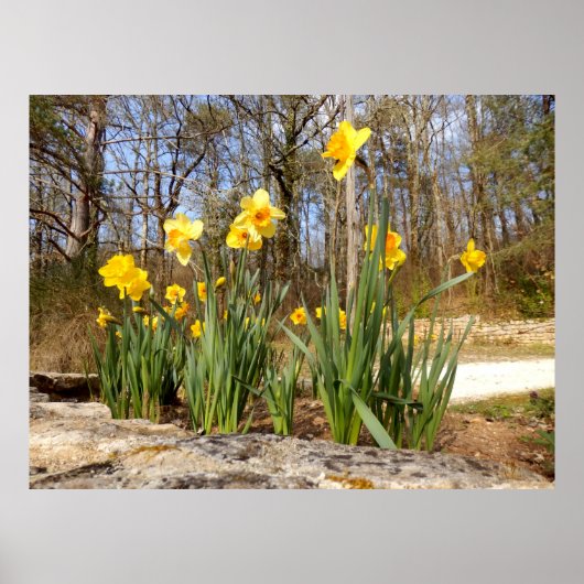 Gutscheine auf Ostern Poster (Vorne)