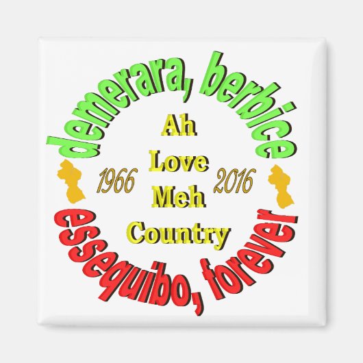 Guyana 3 Landkreis 3" Round Magnet (Vorne)