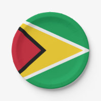 Guyana flag 