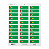 Guyana-Flagge (Vorne)
