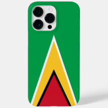 Guyana-Flagge