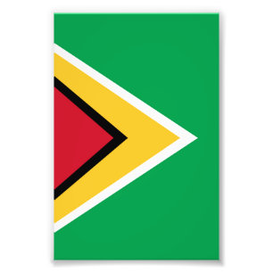 Guyana-Flagge Fotodruck