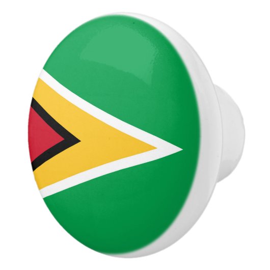 Guyana-Flagge Keramikknauf (Rechts)