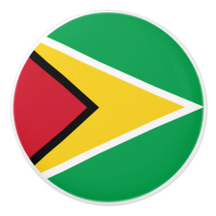 Guyana-Flagge Keramikknauf
