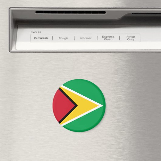 Guyana-Flagge Magnet (In Situ (Geschirrspüler))