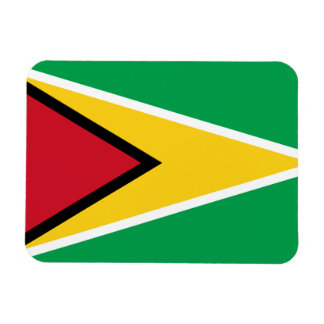 Guyana-Flagge Magnet