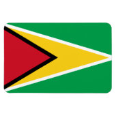 Guyana-Flagge Magnet (Horizontal)