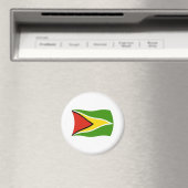 Guyana-Flagge-Magnet Magnet (In Situ (Geschirrspüler))
