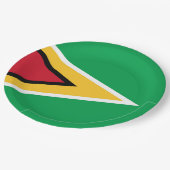 Guyana-Flagge Pappteller (Schrägansicht)