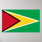 Guyana-Flagge Poster (Vorne)