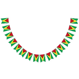 Guyana-Flagge Wimpelkette