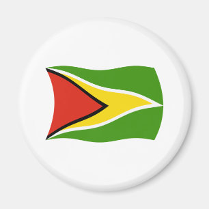 Guyana-Flaggenmagnet Magnet