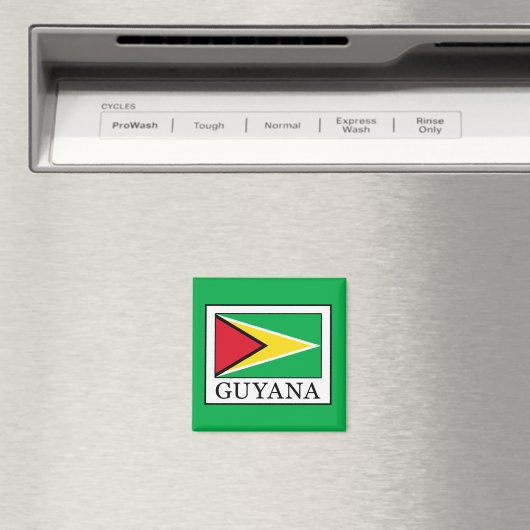 Guyana Magnet (In Situ (Geschirrspüler))
