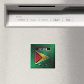 Guyana Magnet (In Situ (Geschirrspüler))