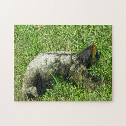 Guyana Sloath. Puzzle (Horizontal)