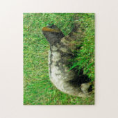 Guyana Sloath. Puzzle (Vertikal)