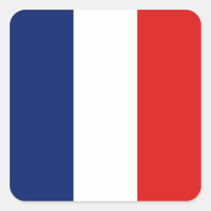 Guyane-Flaggenaufkleber Quadratischer Aufkleber