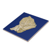 Guyane Map Tile Fliese (Seite)