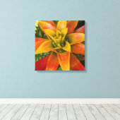 Guzmania Bromeliad Plant Floral Leinwanddruck (Insitu (Holzboden))