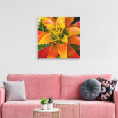 Guzmania Bromeliad Plant Floral Leinwanddruck (Insitu (Wohnzimmer))