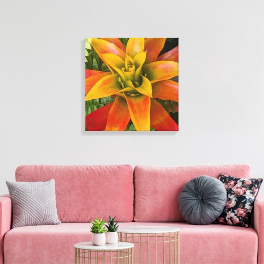 Guzmania Bromeliad Plant Floral Leinwanddruck (Insitu (Wohnzimmer))