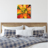 Guzmania Bromeliad Plant Floral Leinwanddruck (Insitu (Schlafzimmer))