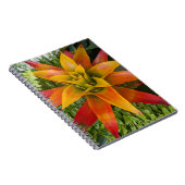 Guzmania Bromeliad Plant Floral Notizblock (Rechte Seite)