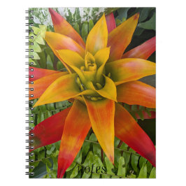 Guzmania Bromeliad Plant Floral Notizblock