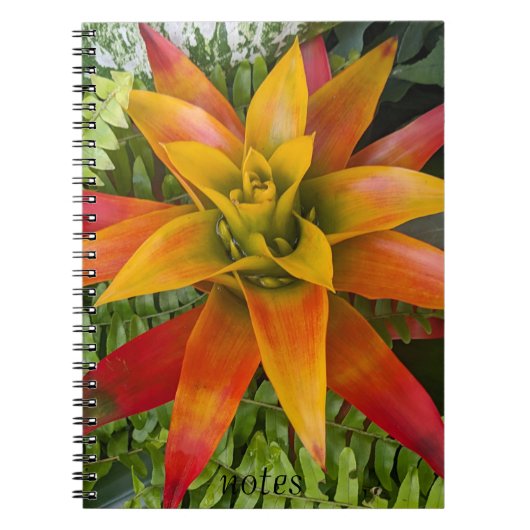 Guzmania Bromeliad Plant Floral Notizblock (Vorderseite)