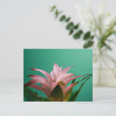 Guzmania Bromeliads Postkarte (Stehend Vorderseite)