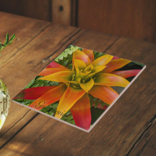 Guzmania Bromelien-Pflanze Floral Fliese